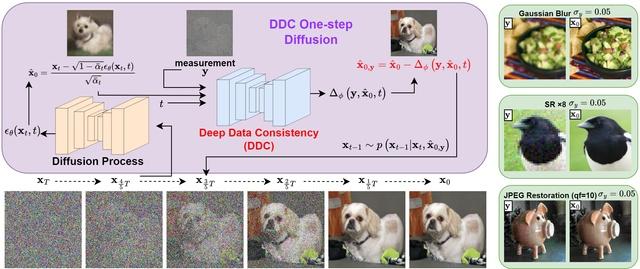 Deep Data Consistency: a Fast and Robust Diffusion Model-based Solver for Inverse Problems